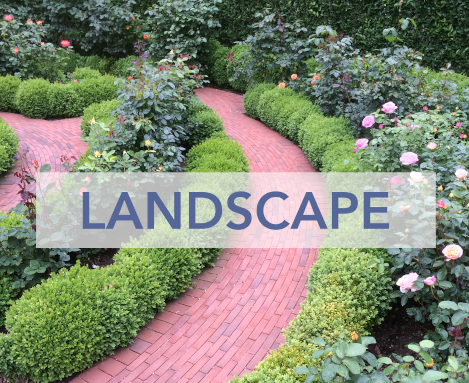 Attractive rose garden with brick pathways